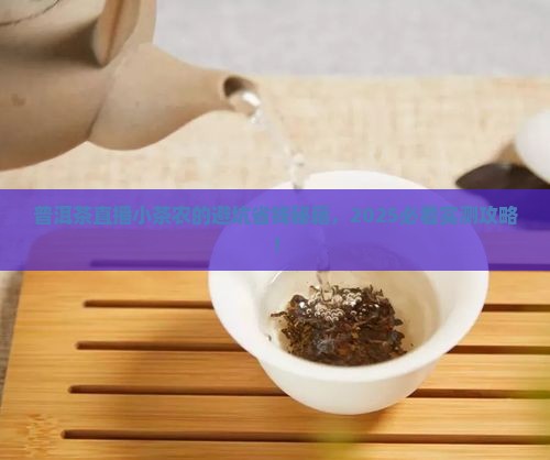 普洱茶直播小茶农