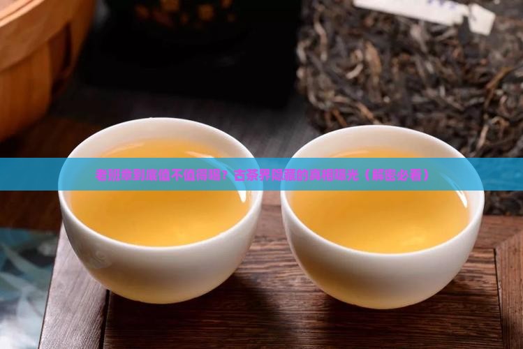 勐海古茶老班章介绍