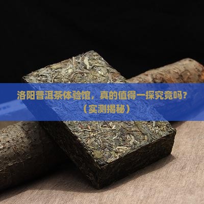 普洱茶体验馆洛阳