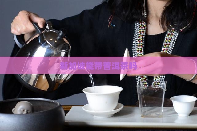新加坡能带普洱茶吗