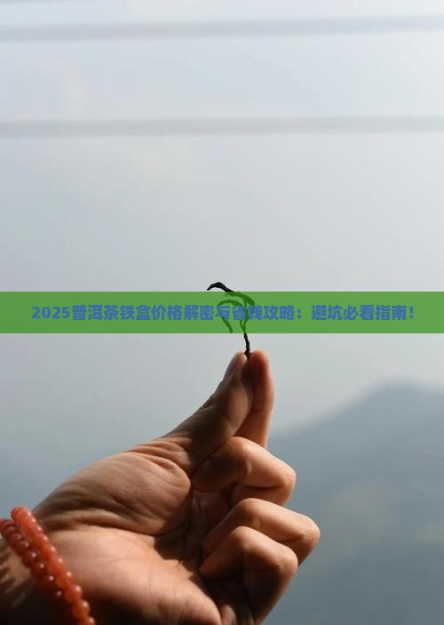 普洱茶包装铁盒求购价格表