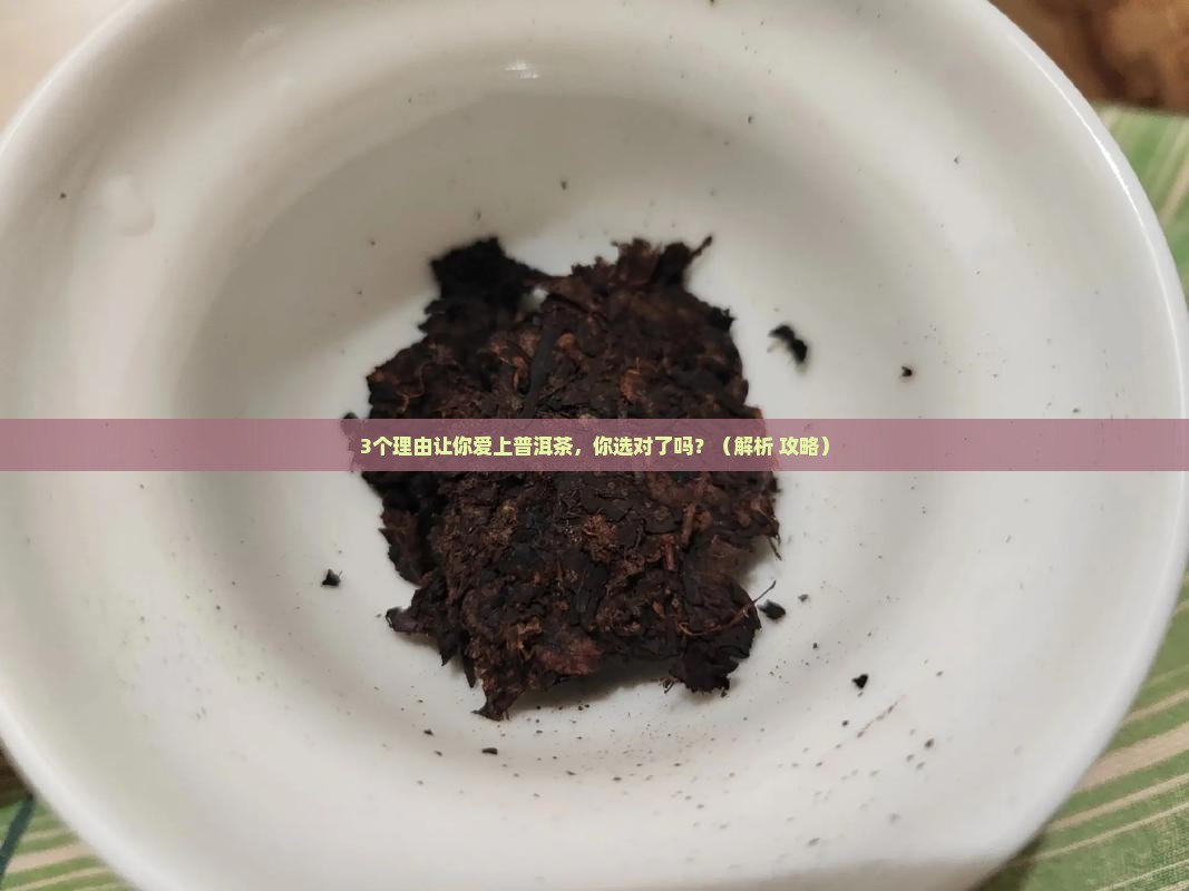普洱茶取个有意境的名字
