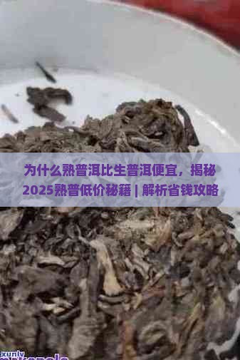 为什么熟普洱比生普洱便宜