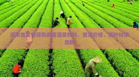特级原料陈皮普洱茶