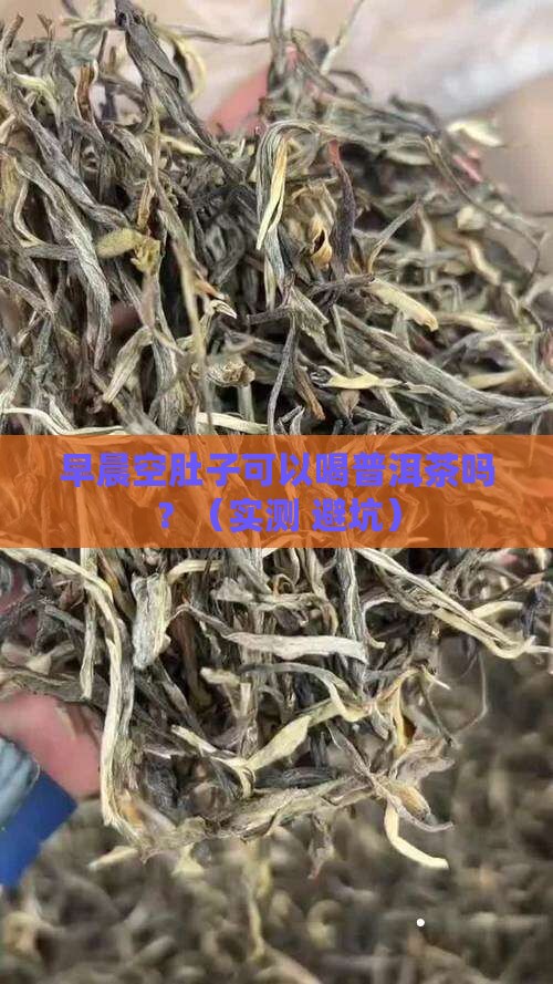 早晨空肚子可以喝普洱茶吗