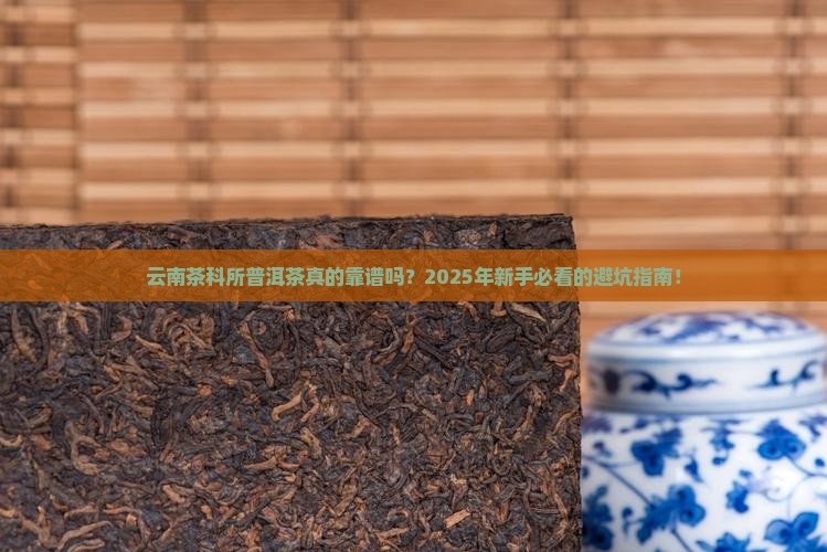 云南茶科所普洱茶
