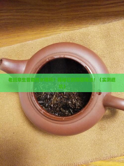 老班章生普能煮水喝吗