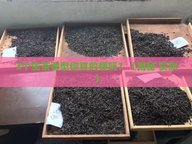 普洱茶生茶什么香