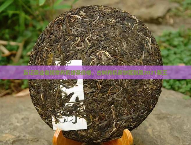 友记茶业老班章