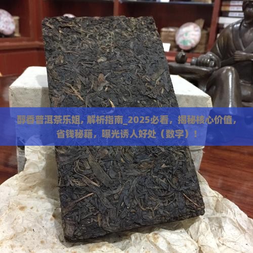醇香普洱茶乐姐