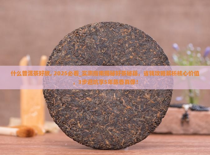 什么普洱茶好放