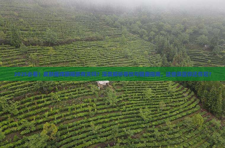 皮肤瘙痒跟喝茶有关吗 皮肤瘙痒跟喝茶有关吗