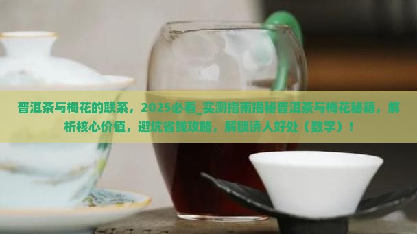 普洱茶与梅花的联系