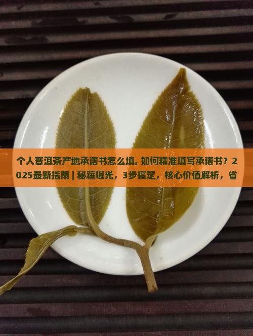 个人普洱茶产地承诺书怎么填