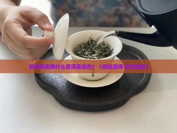 新茶友喝什么样普洱茶适合