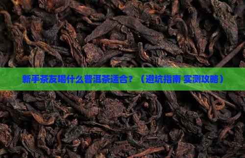 新茶友喝什么样普洱茶适合