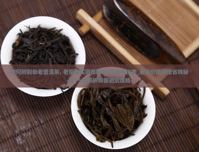 如何辨别新老普洱茶