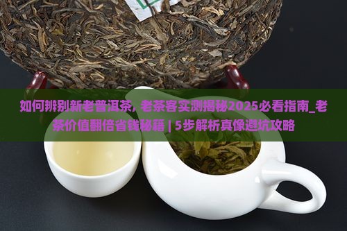 如何辨别新老普洱茶