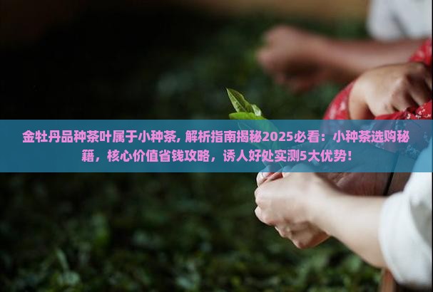 金牡丹品种茶叶属于小种茶 金牡丹品种茶叶属于小种茶