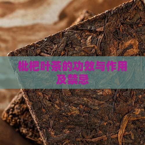 枇杷叶茶的功效与作用及禁忌