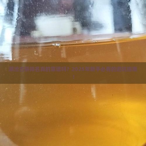 澜沧古茶排名第几