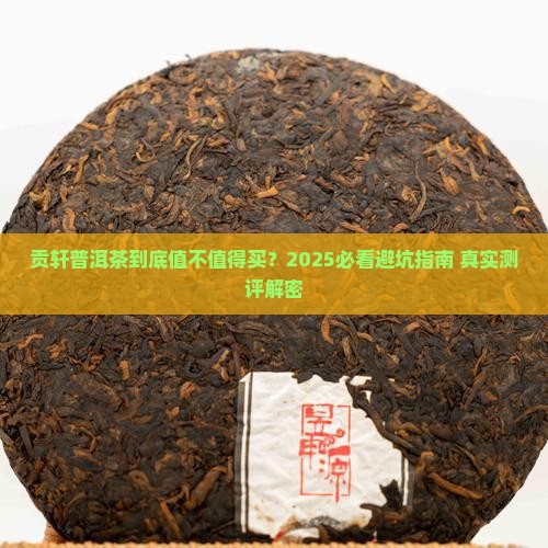 贡轩云南普洱茶