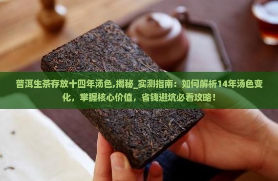 普洱生茶存放十四年汤色