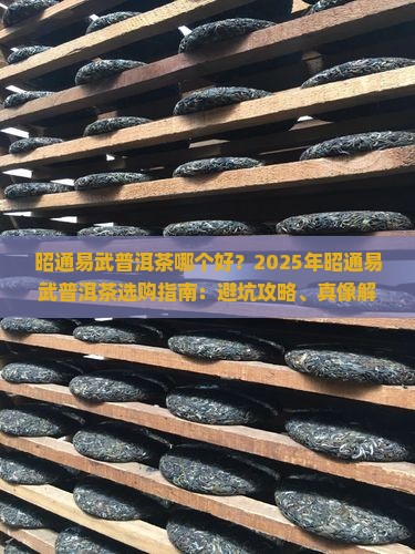 昭通易武普洱茶哪个好