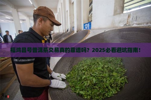 福鸿昌号普洱茶交易