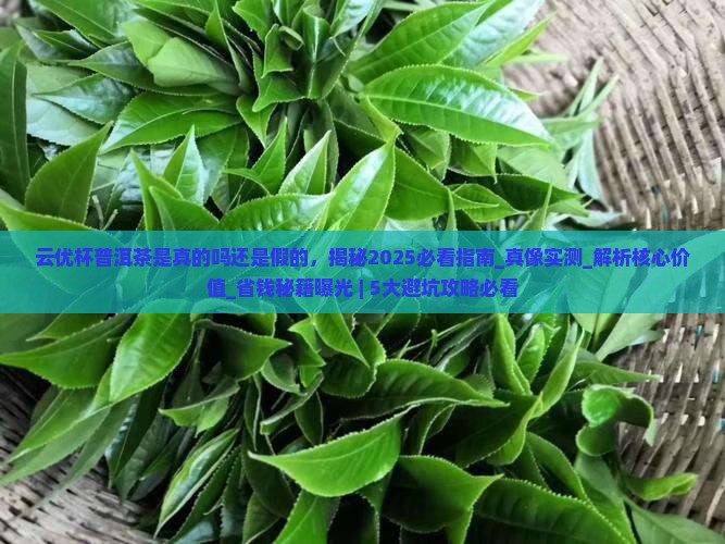 云优杯普洱茶是真的吗还是假的