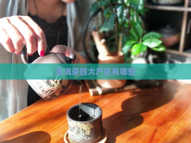 普洱茶四大产区有哪些