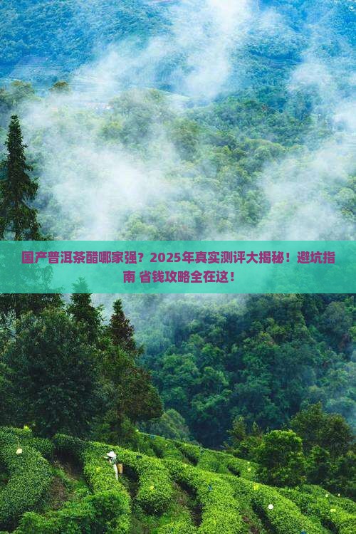国产普洱茶醋哪个牌子好