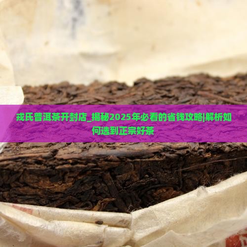 戎氏普洱茶开封店