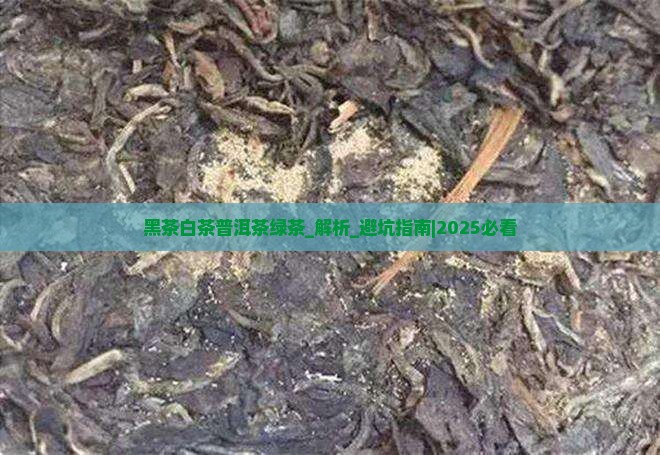 黑茶白茶普洱茶绿茶