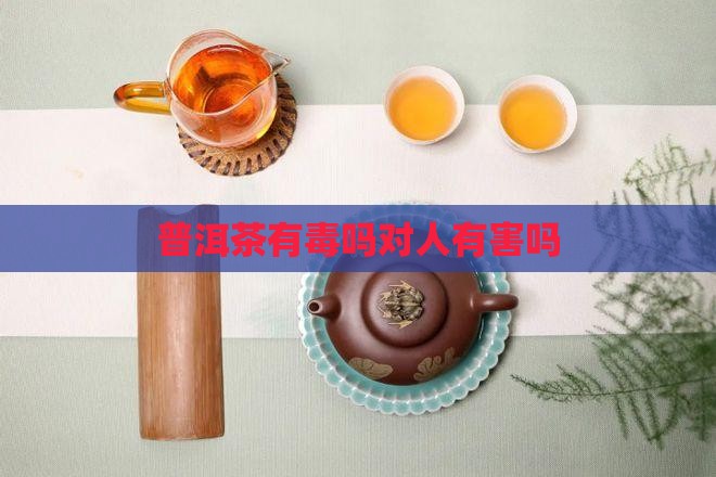 普洱茶有毒吗对人有害吗