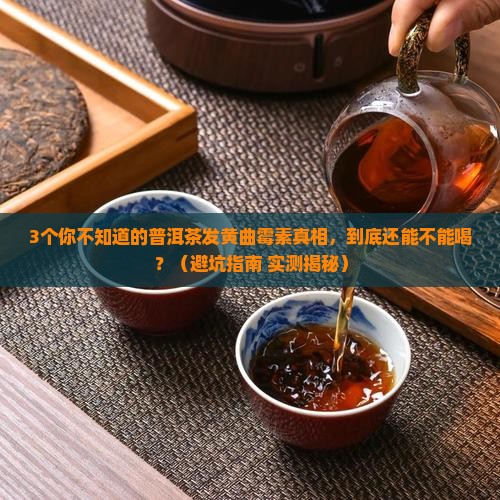 普洱茶发黄曲霉素