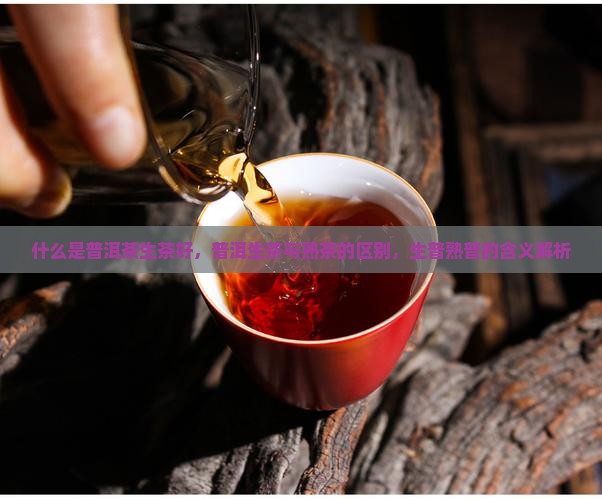 什么是普洱茶生茶好