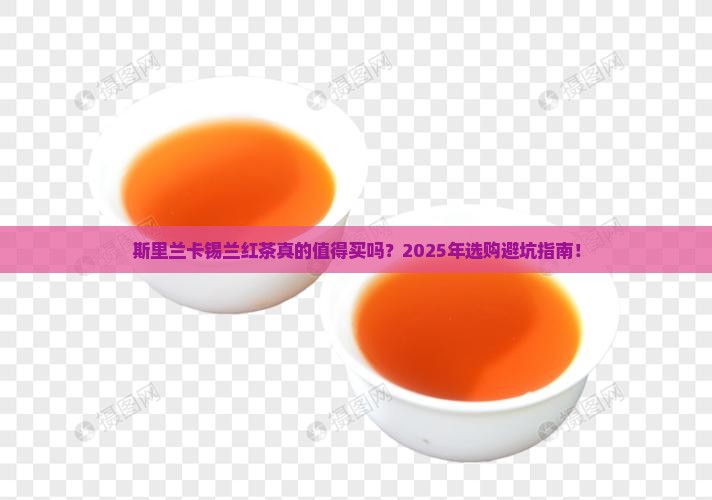 斯里兰卡锡兰红茶