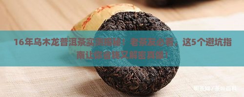 16年乌木龙普洱茶