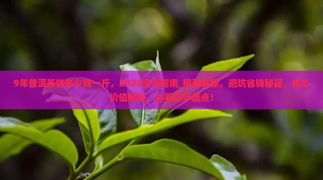 9年普洱茶饼多少钱一斤
