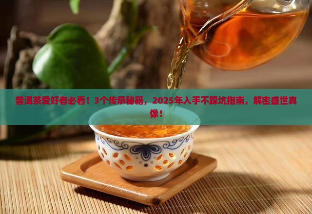 普洱茶盛世传承