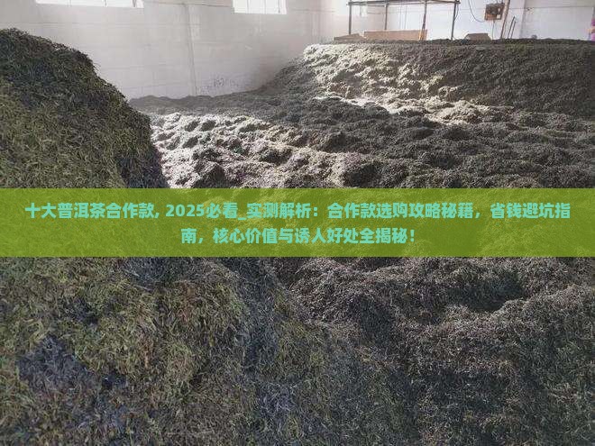 十大普洱茶合作款