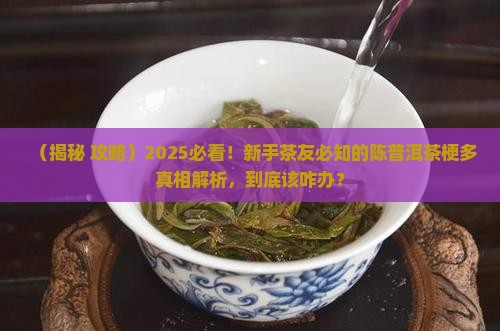 陈普洱茶面有很多茶梗