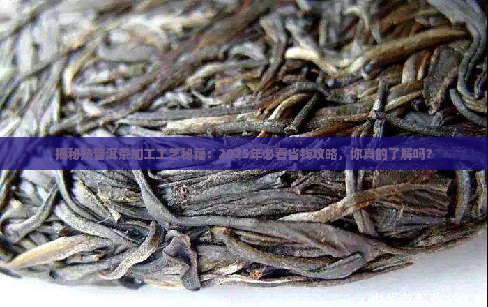 熟普洱茶加工工艺