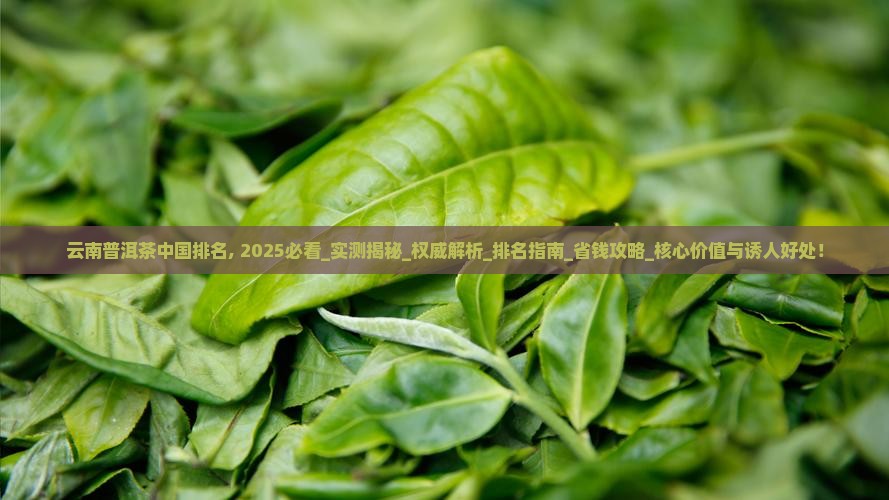 云南普洱茶中国排名