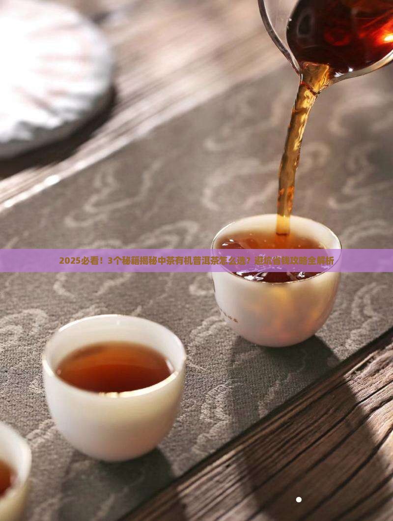 中茶有机普洱茶如何辨别