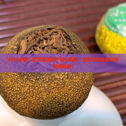 世界普洱茶哪里产茶