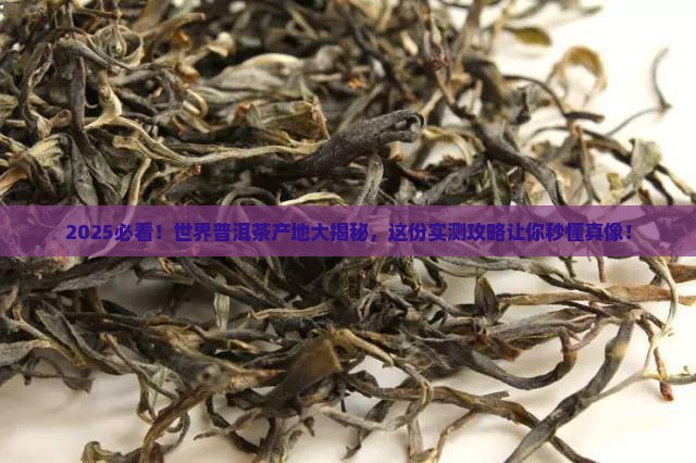 世界普洱茶哪里产茶