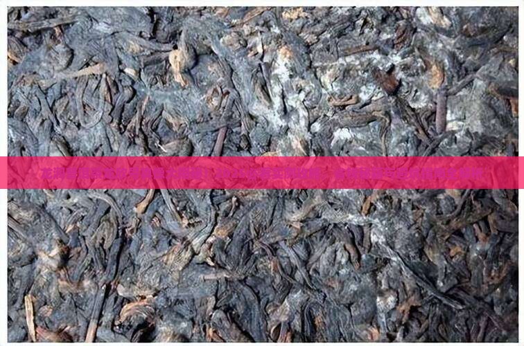 龙润普洱茶龙欣号怎么样