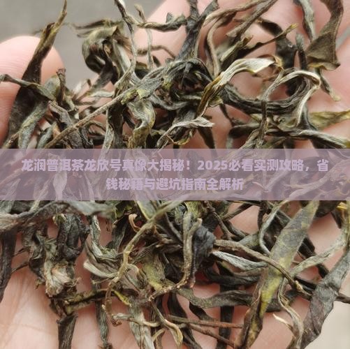 龙润普洱茶龙欣号怎么样